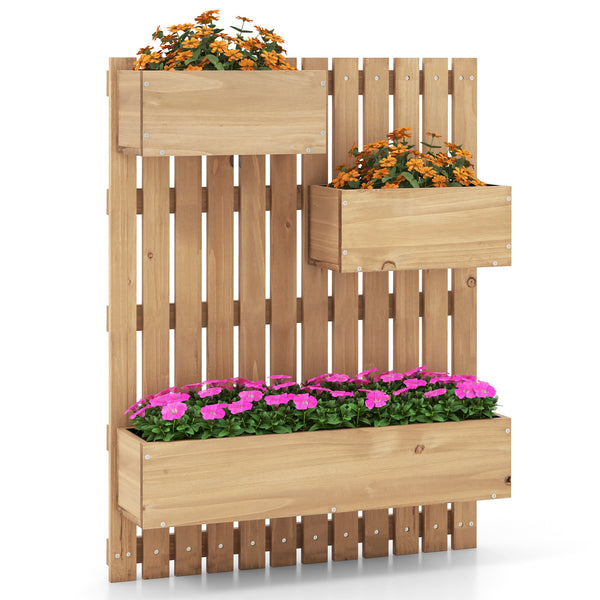 Garden Bed Trellises