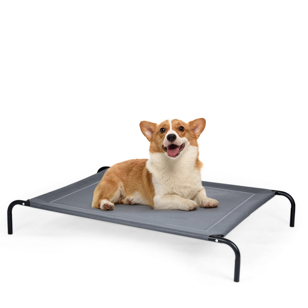 Elevated Pet Bed for Medium Large Dogs